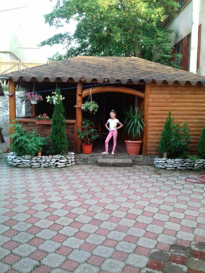 Над Вичов Volovets Bagian luar foto