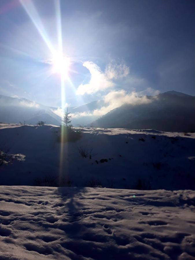 Nad Vićov Volovets Bagian luar foto